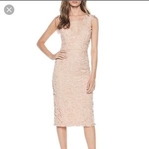 NWT Spectacular Bardot Lace Dress
